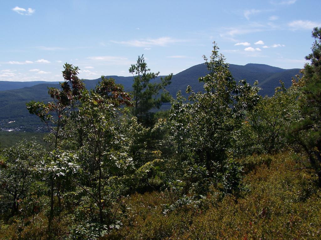 Photo: Mount Greylock