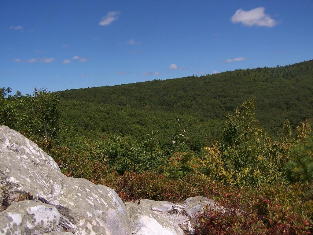 Photo: East Mountain