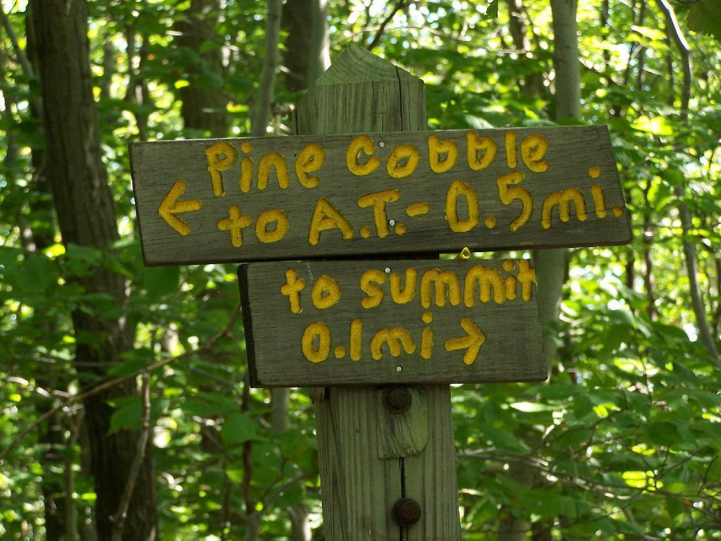 Photo: Trail Up East Mountain