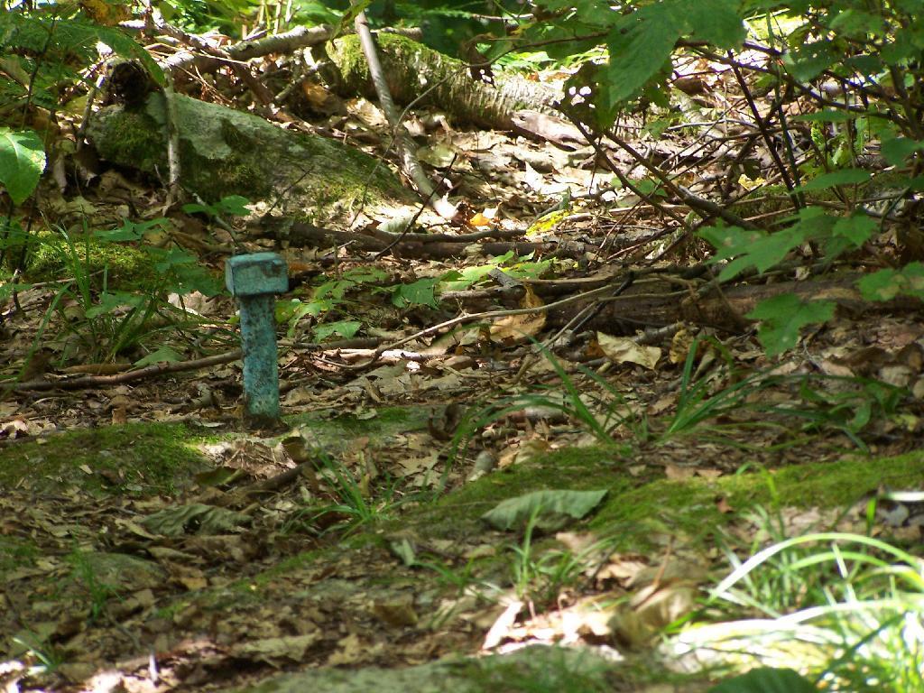 Photo: USDA Survey Marker
