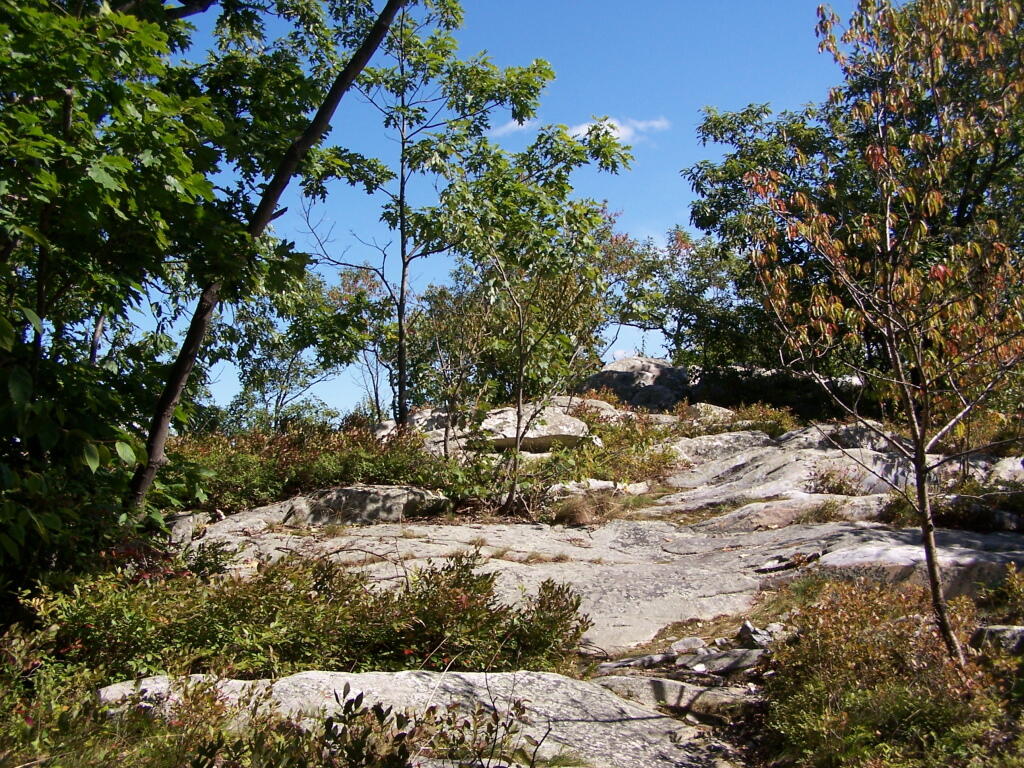 Photo: Summit