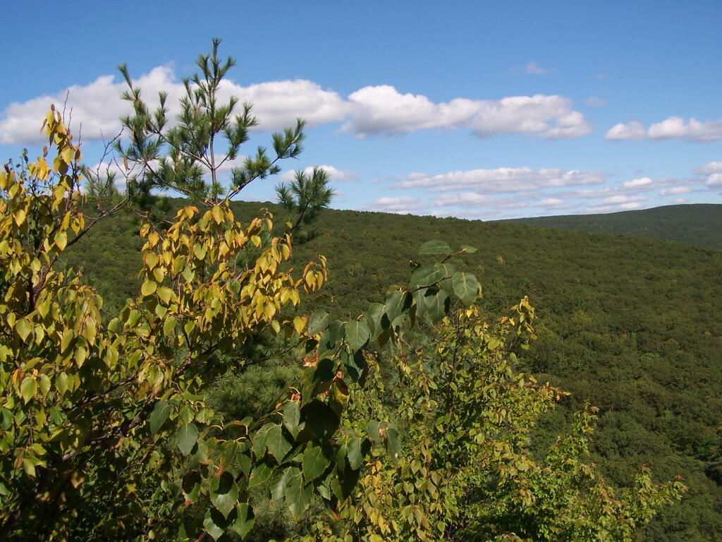 Photo: East Mountain