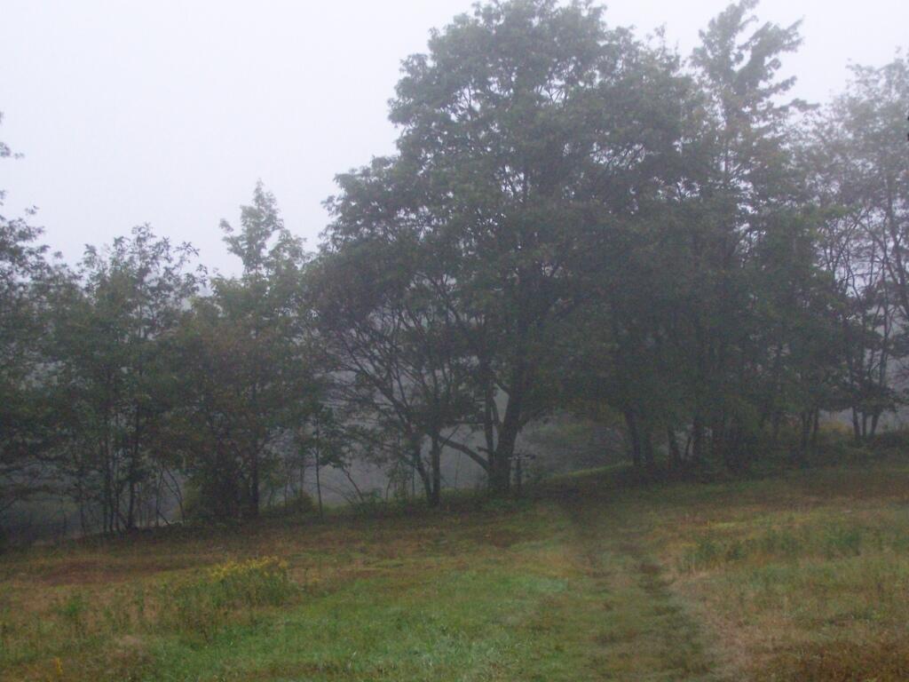 Photo: Rain
