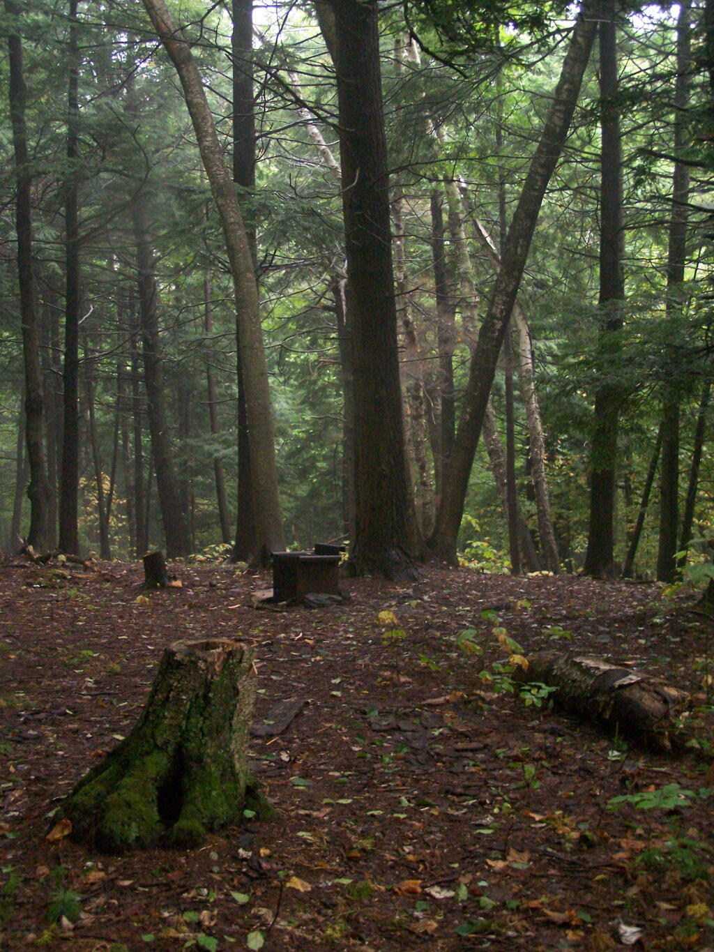 Photo: Campsite No. 2