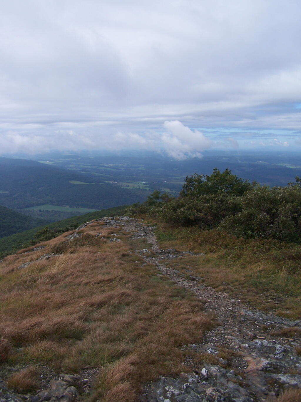 Photo: Watching Fog Burn Off