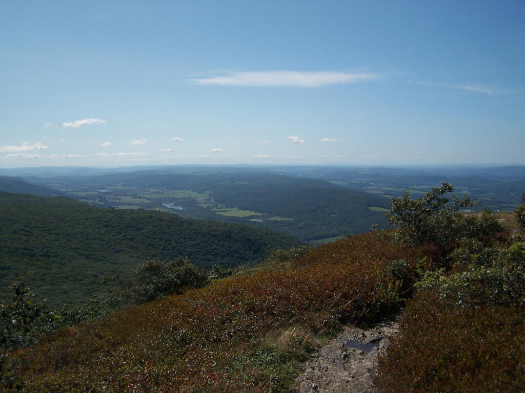Photo: South Along Trail