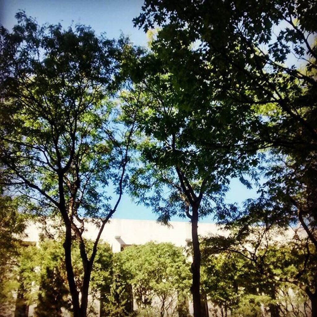 Photo: Memorial Park