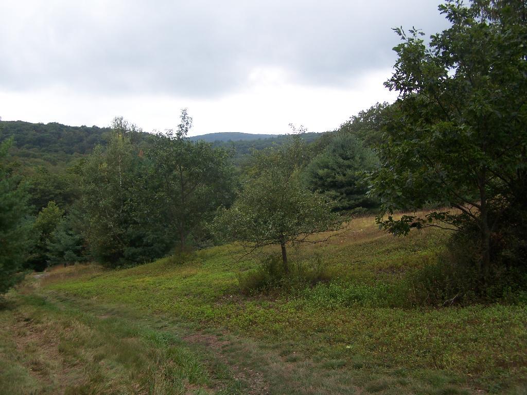 Photo: Alander Mountain