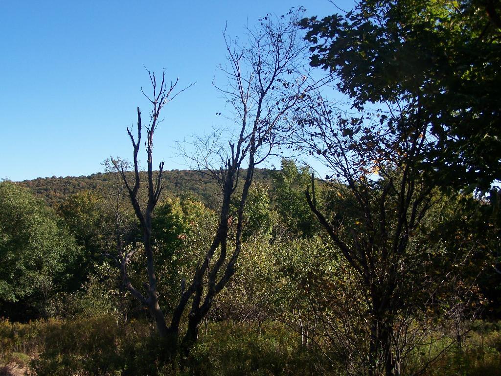 Photo: Second Peak of Harmon