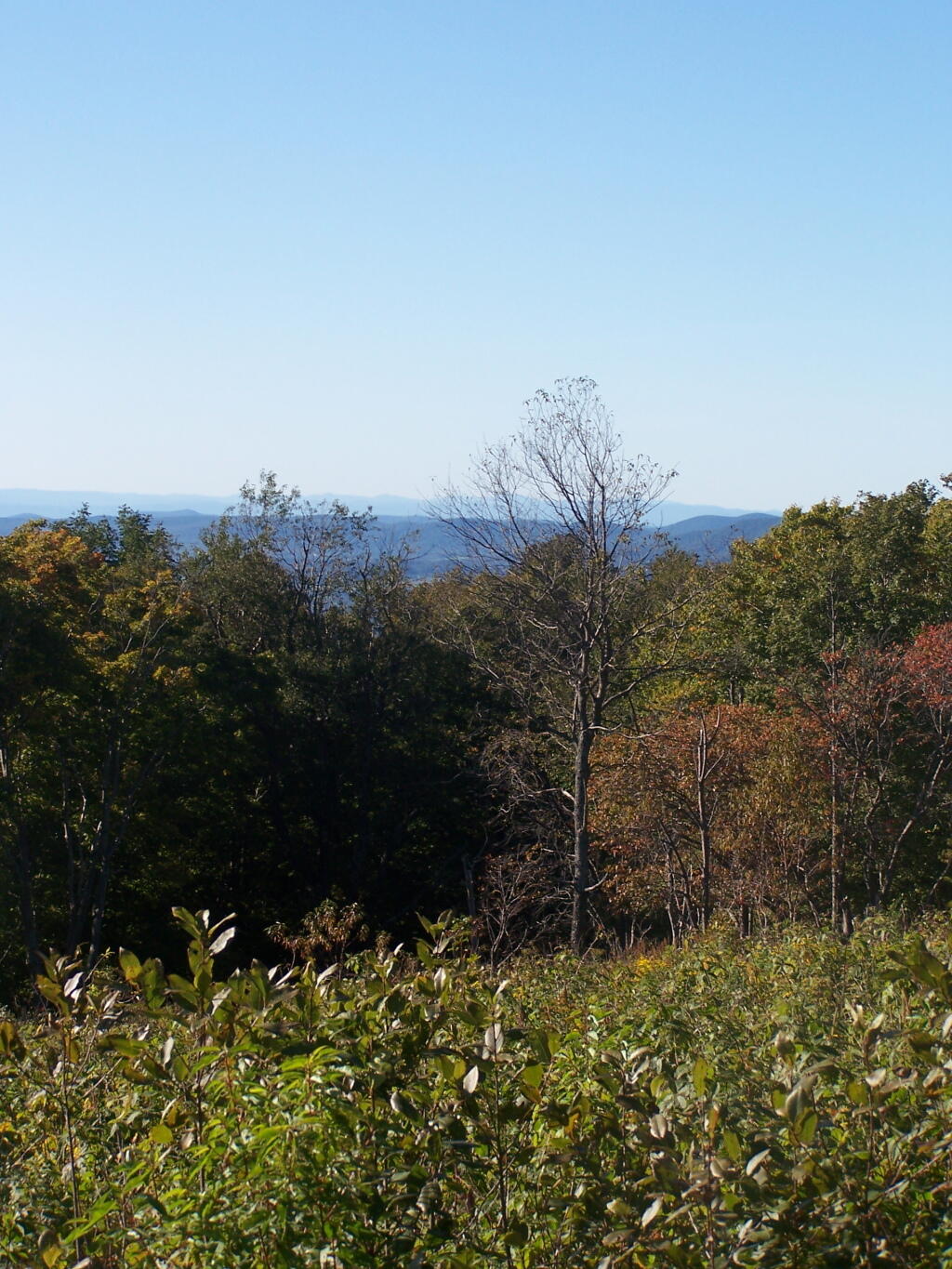 Photo: North of Harmon