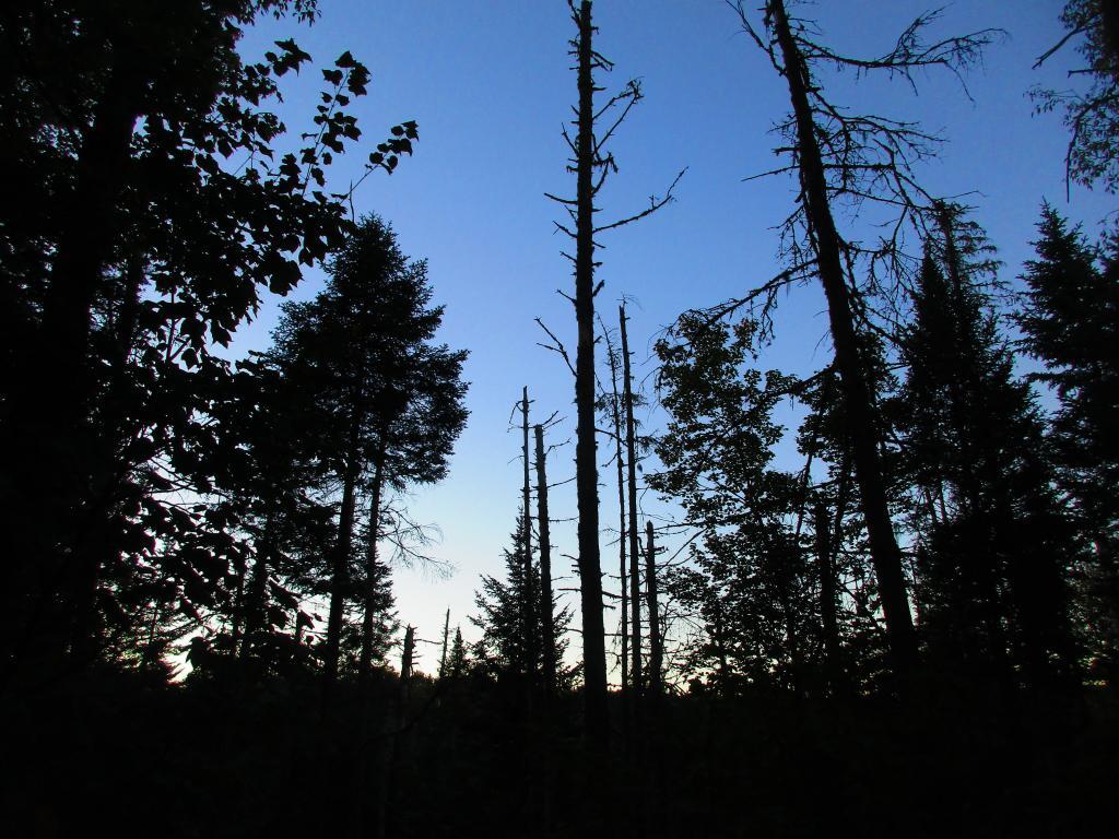 Photo: Dusk comes early in September