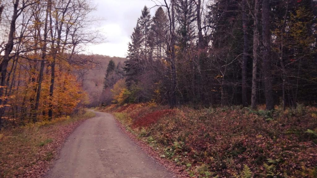 Photo: Gravel Roads