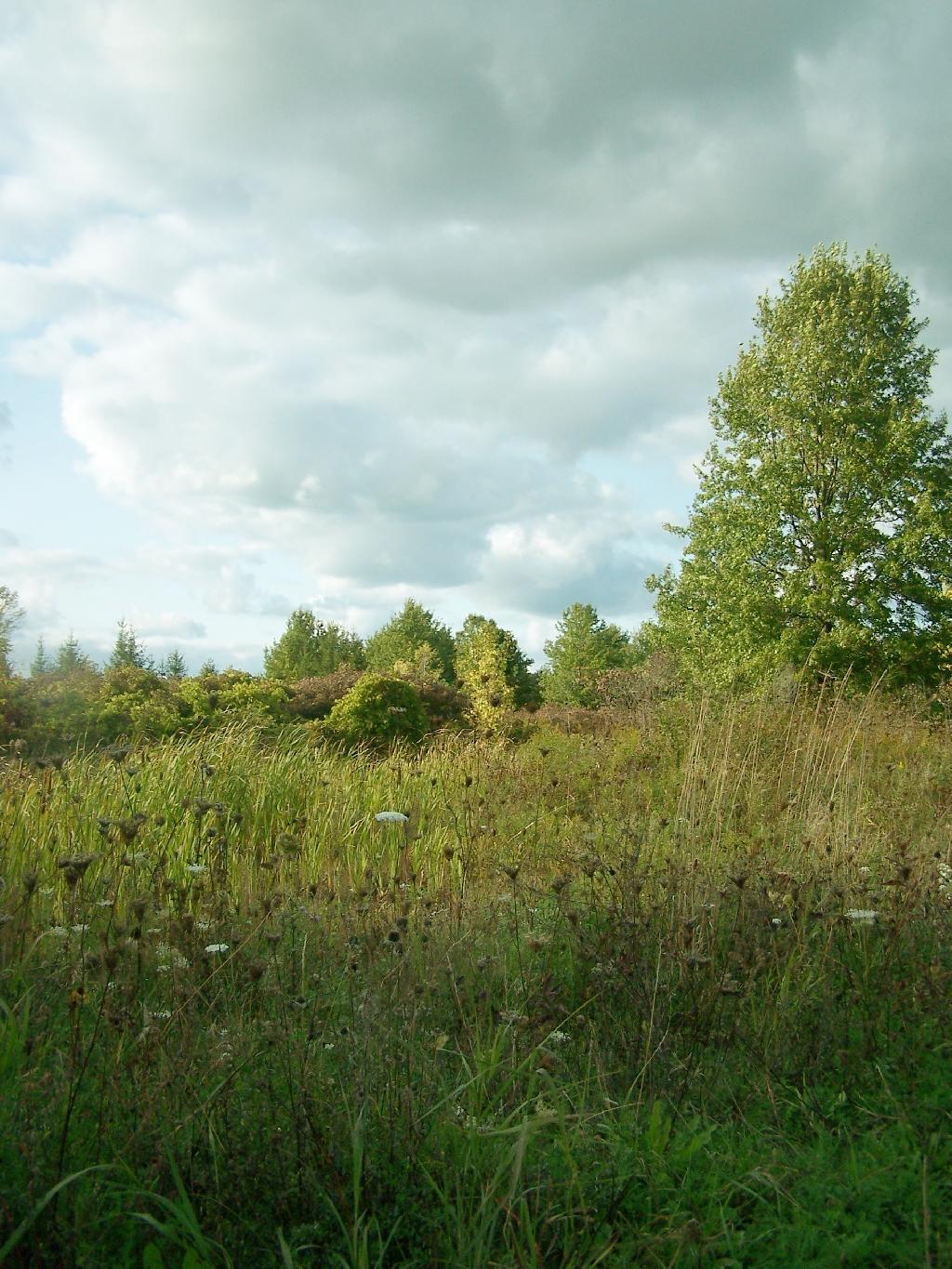 Photo: Field