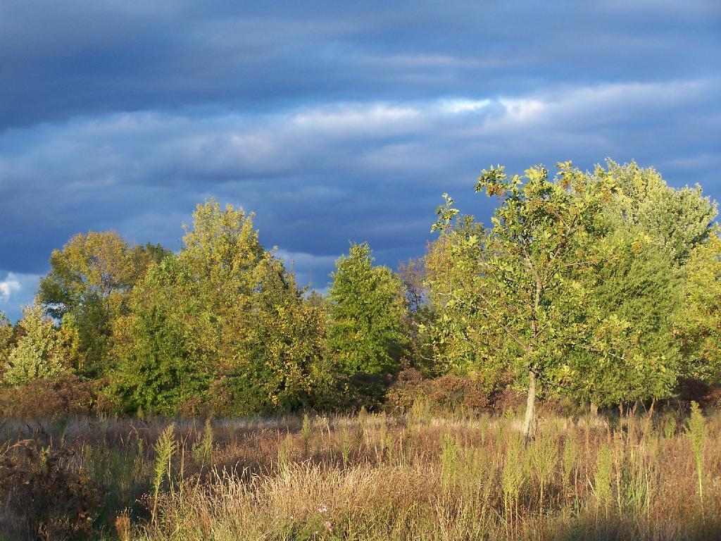 Photo: Dark Sky