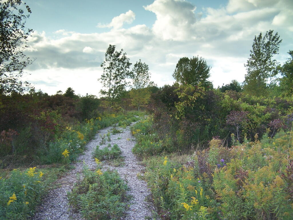 Photo: Path