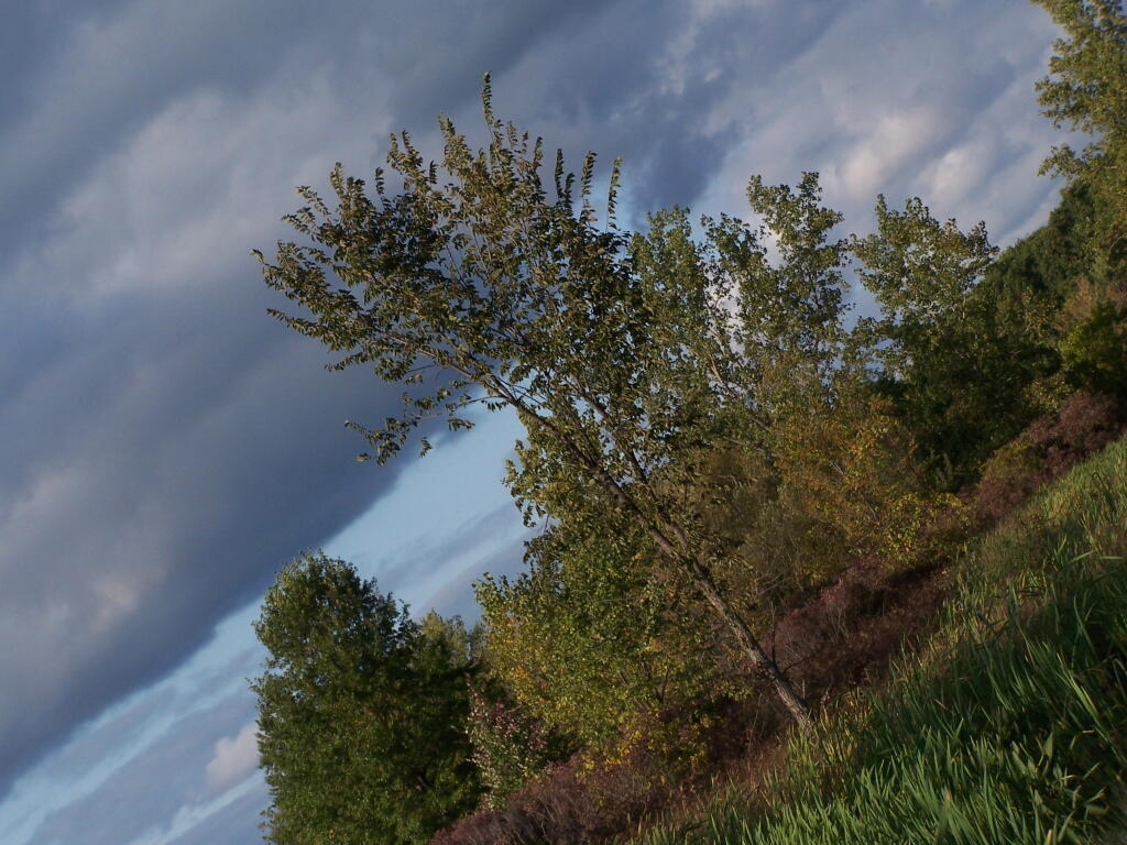 Photo: Getting Cloudy