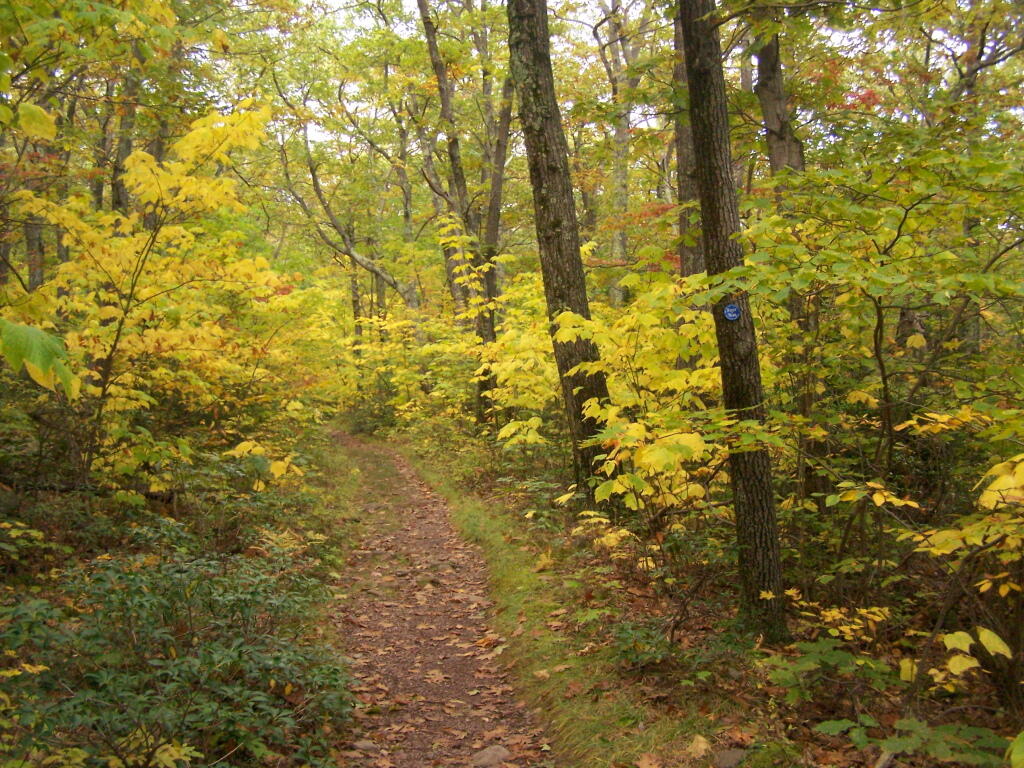 Photo: Further Down the Trail