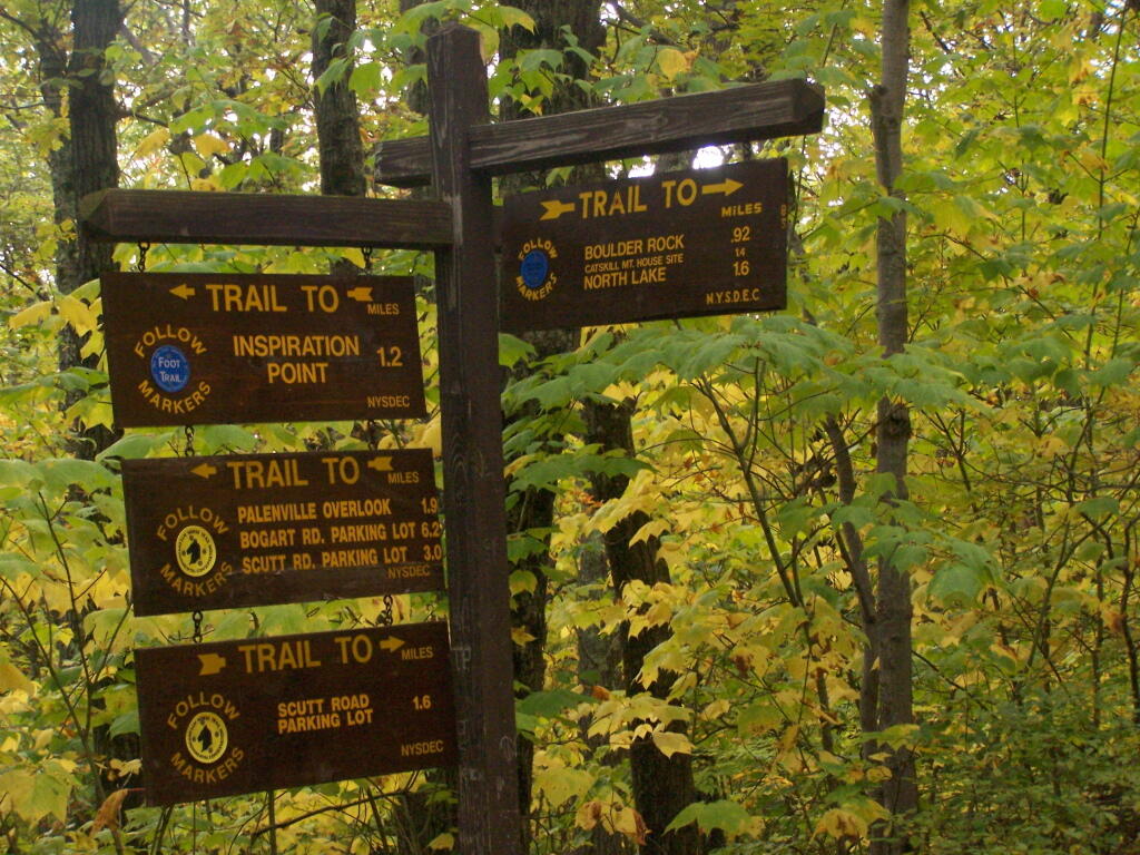 Photo: Signs