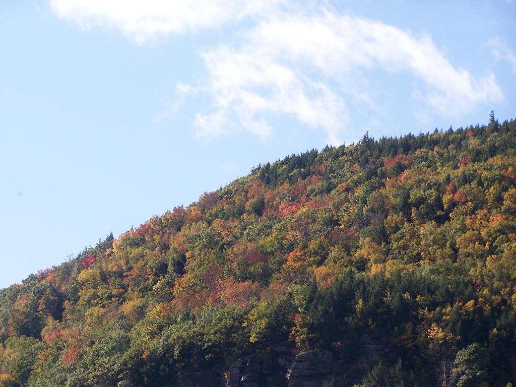 Photo: Indian Head from Clove Road