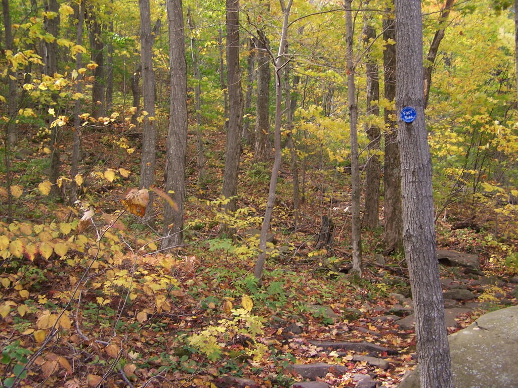 Photo: Heading Up to Jimmy Dolan Notch