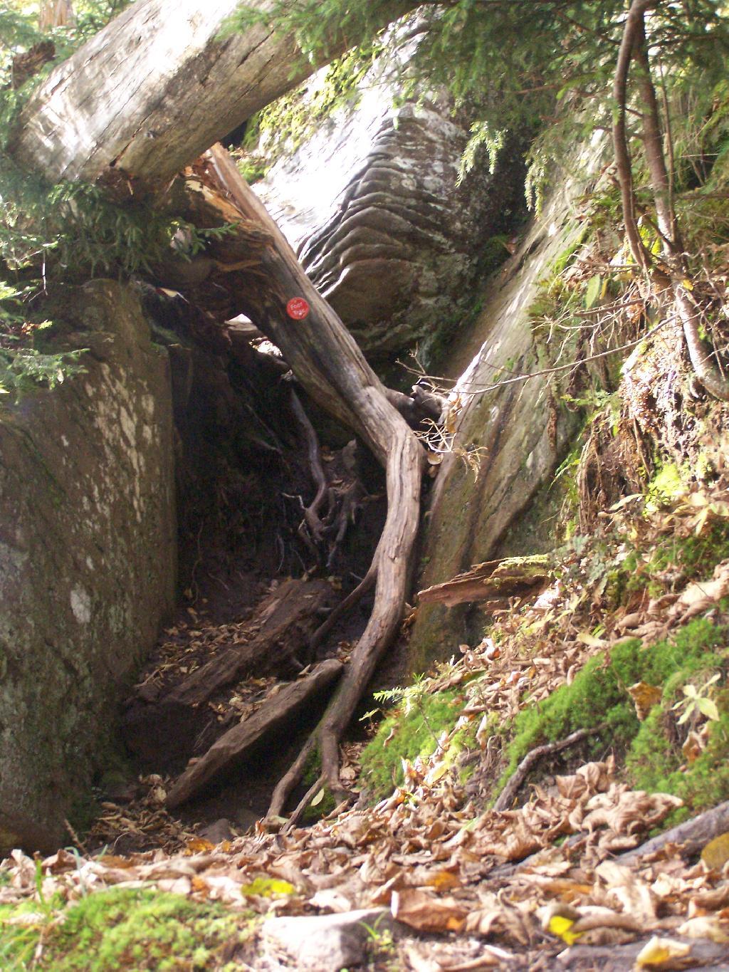 Photo: First Steep Descent