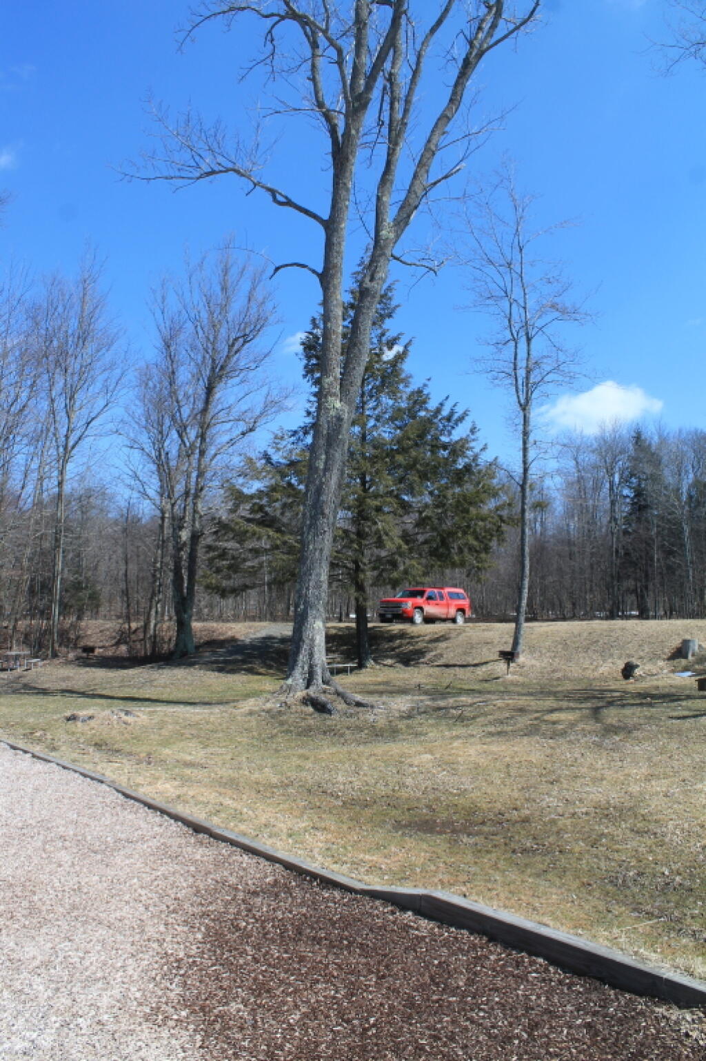Photo: Photo.2013.04.05 13.13.54