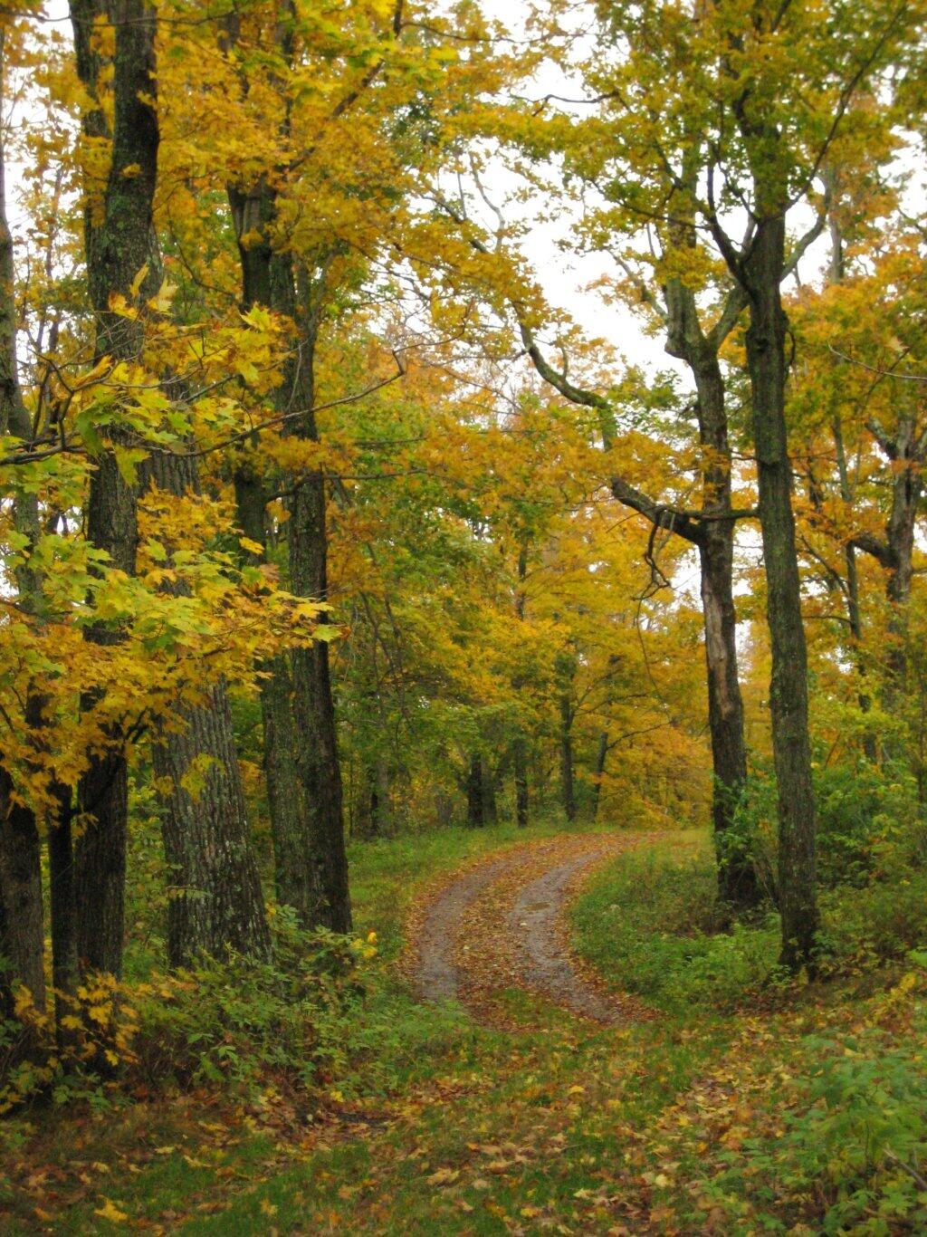 Photo: Road