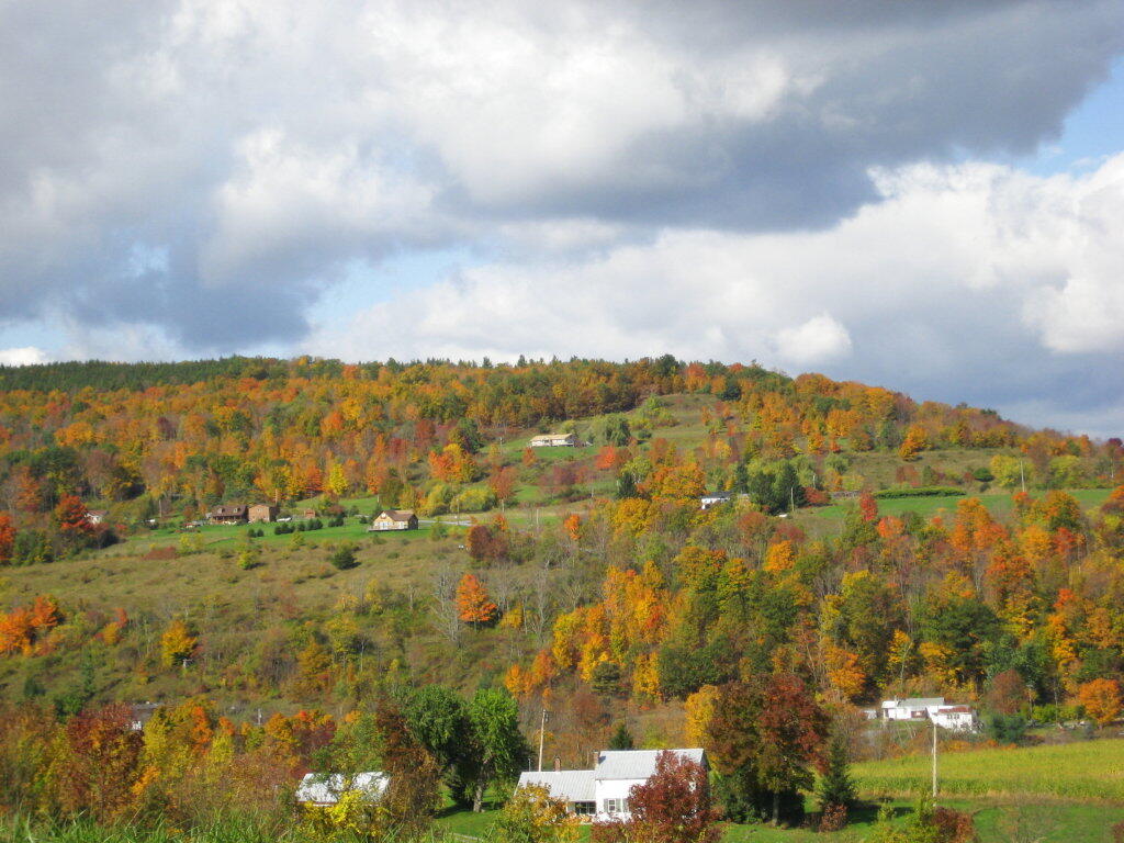 Photo: Hillside