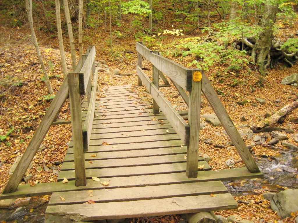 Photo: Bridge
