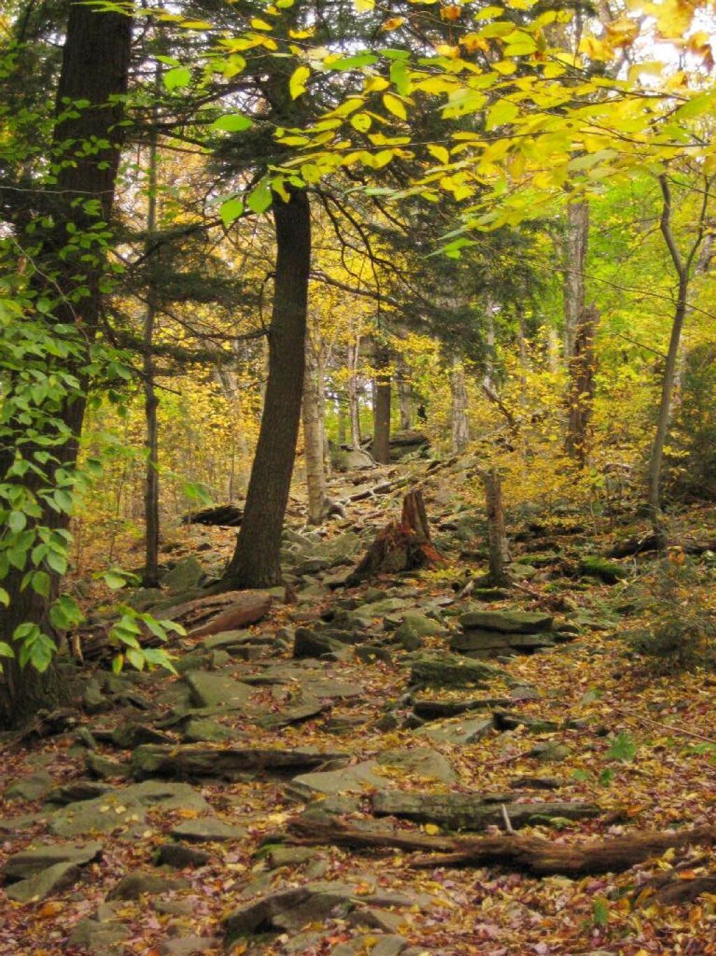 Photo: Steeper Climb