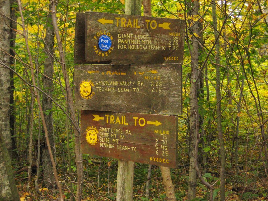 Photo: Trail To Woodland Valley