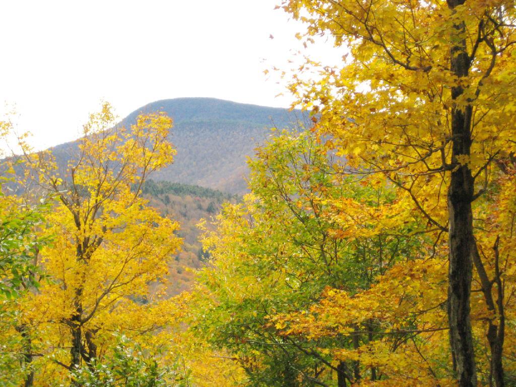 Photo: Slide Mountain