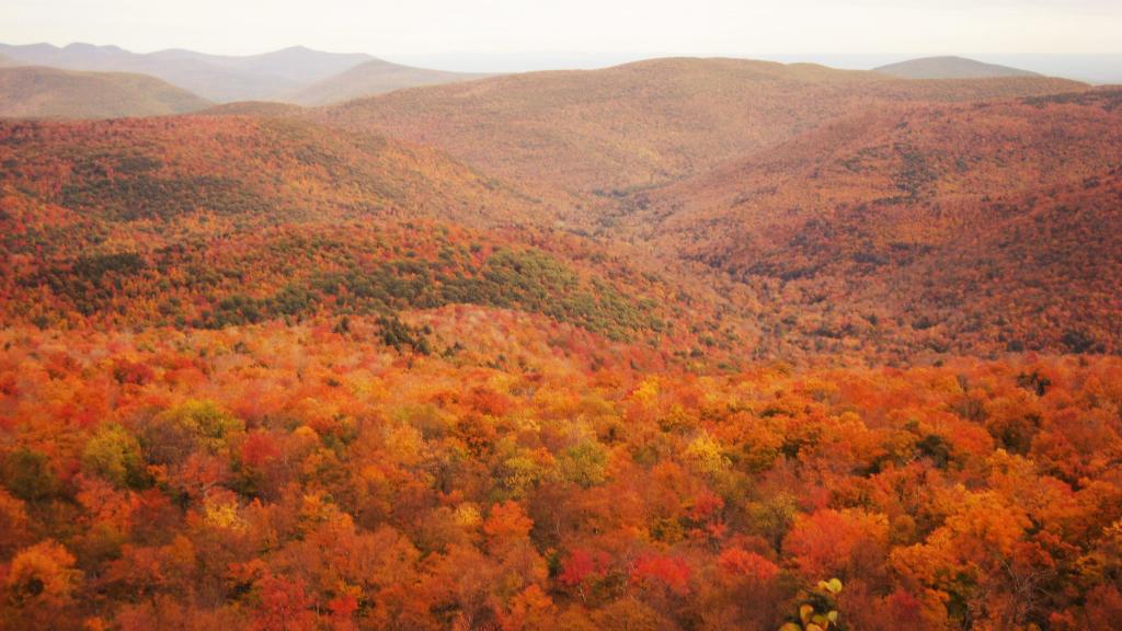 Photo: Woodlawn Valley