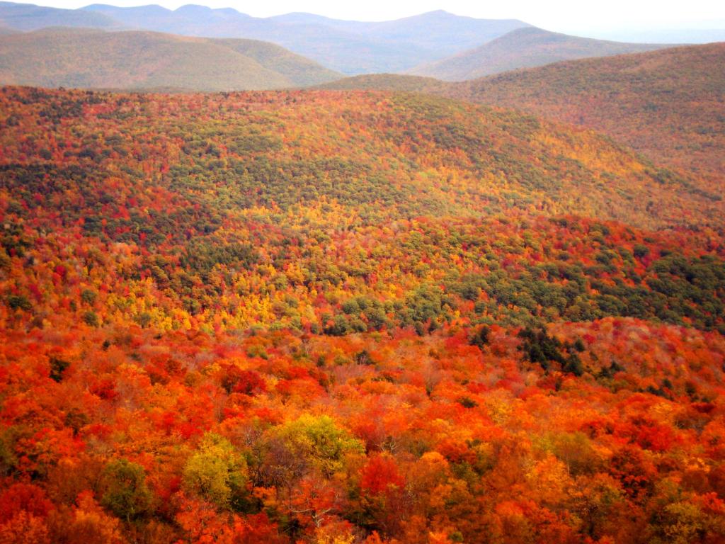 Photo: Colors