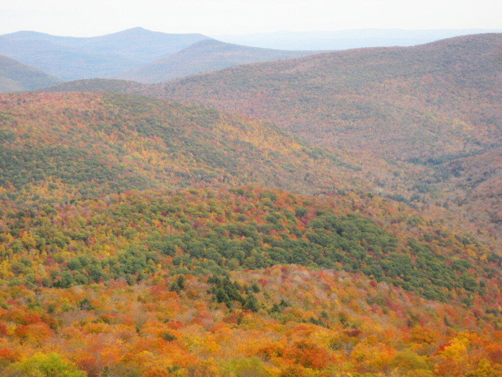 Photo: Valley