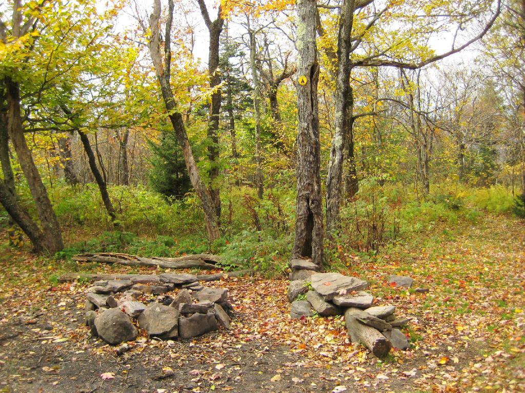 Photo: Campsite 1