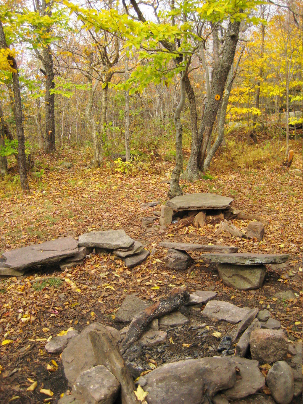 Photo: Campsite 2