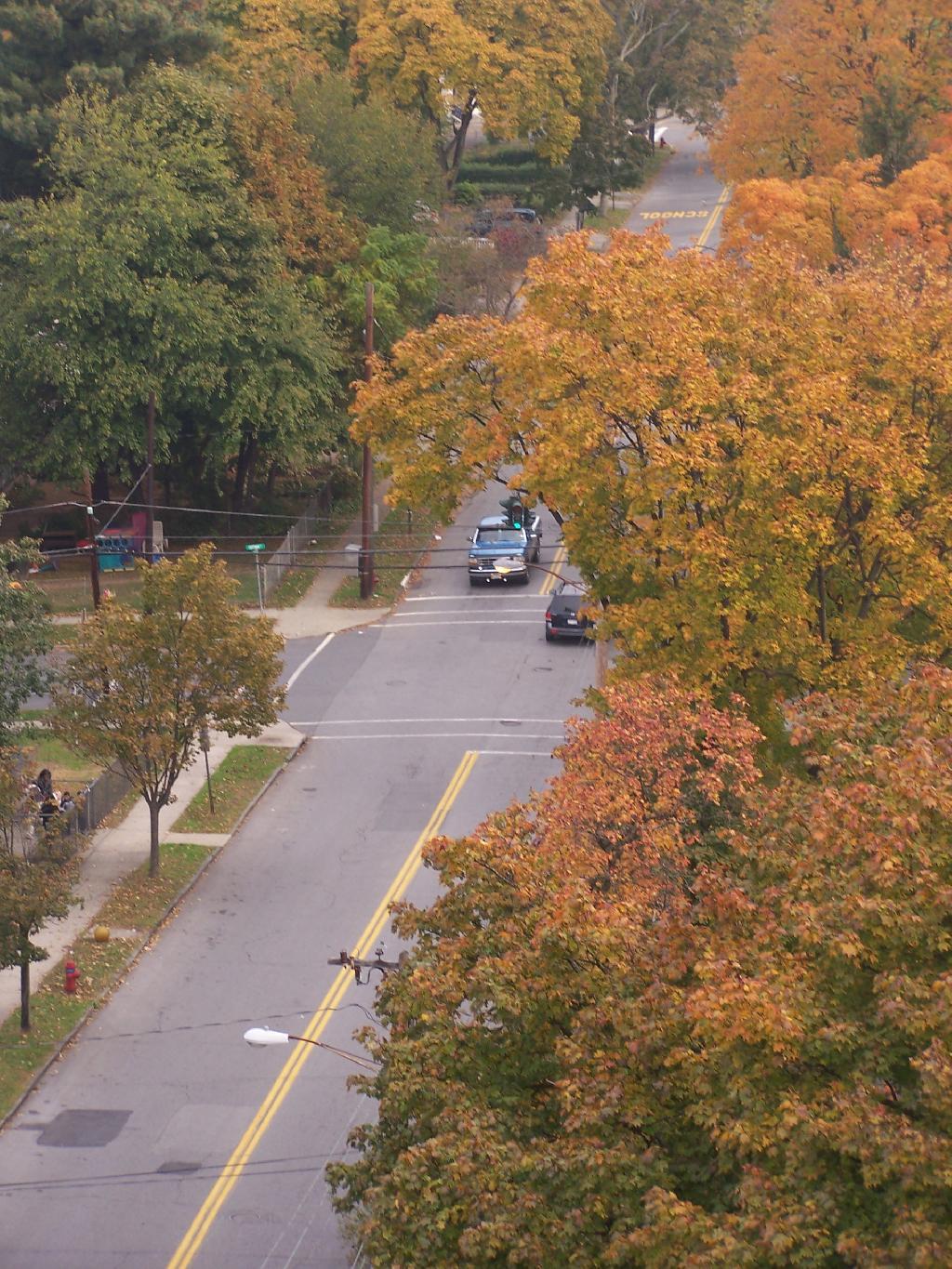 Photo: Spruce Street