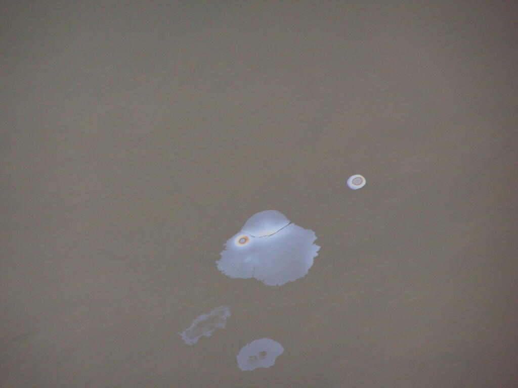 Photo: Oil Slick on the Hudson River