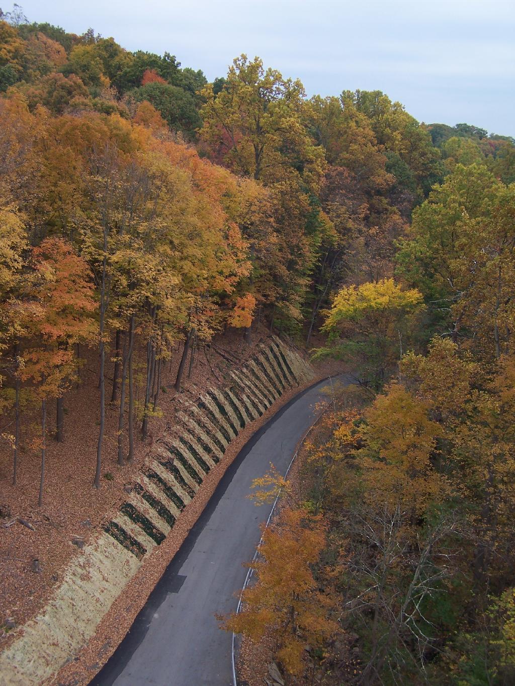 Photo: Mile Hill Road