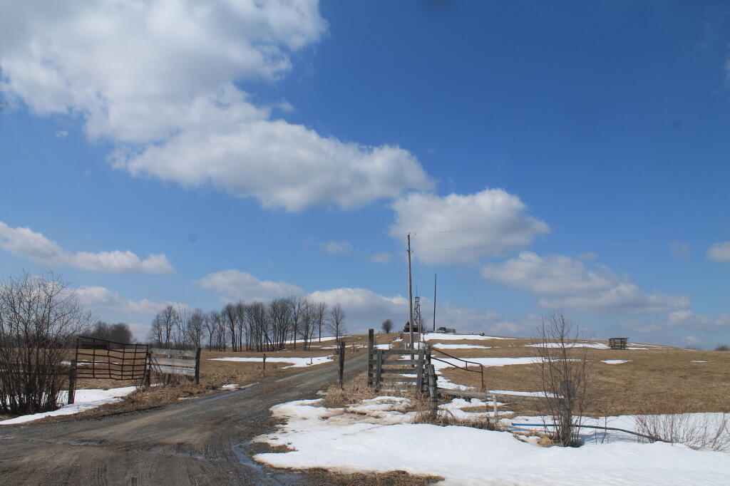 Photo: Driveway to Firetower