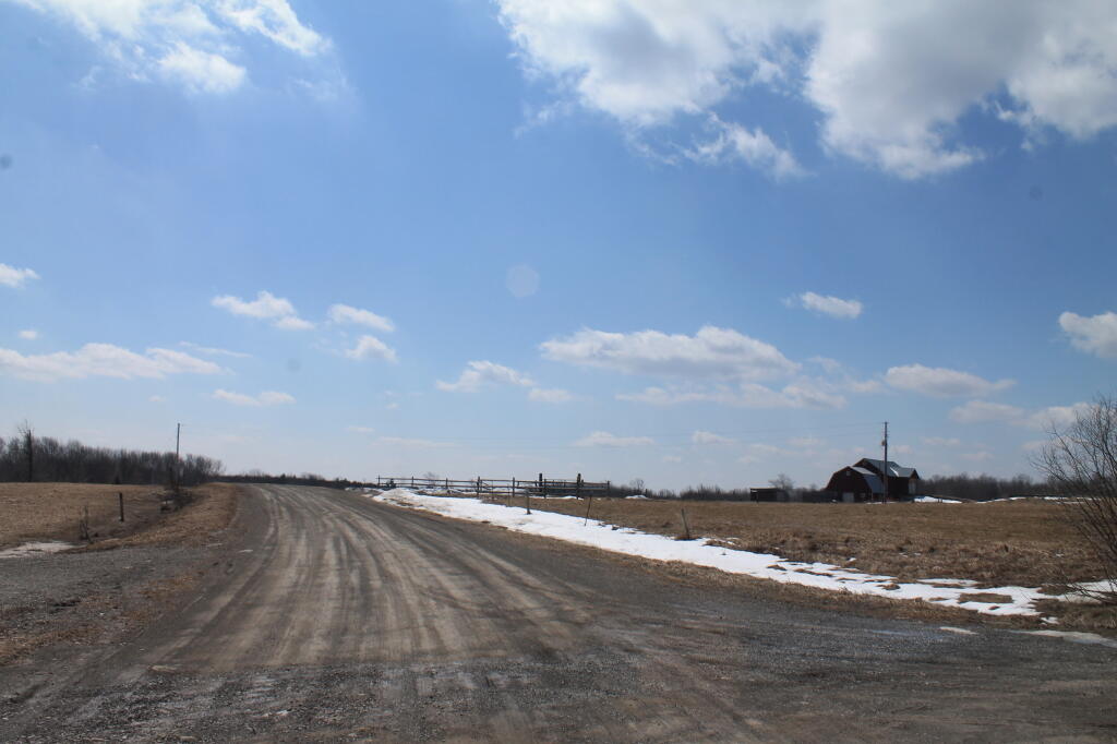 Photo: North Tower Road