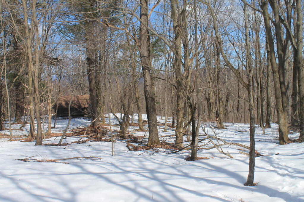 Photo: Photo.2013.03.30 15.46.44