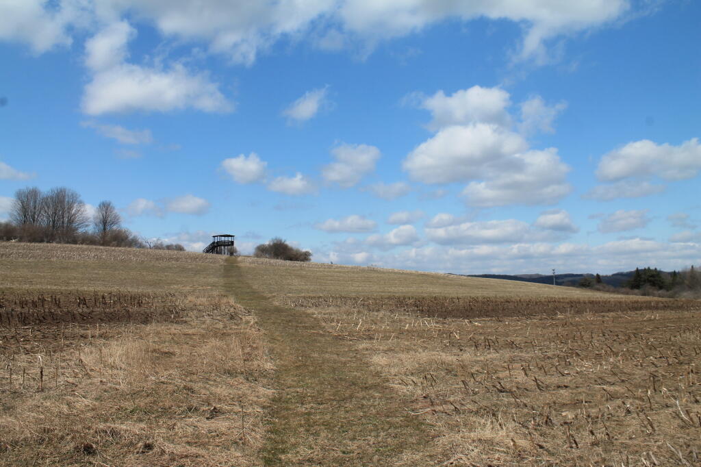 Photo: Path Up to Farm Tower