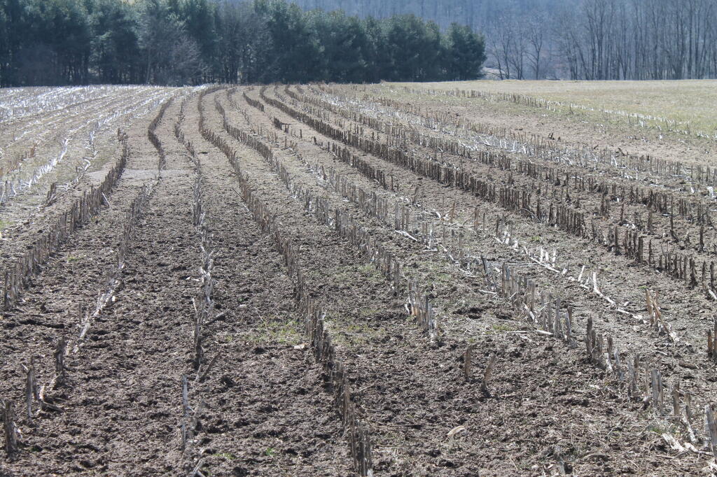 Photo: Springtime in the Country
