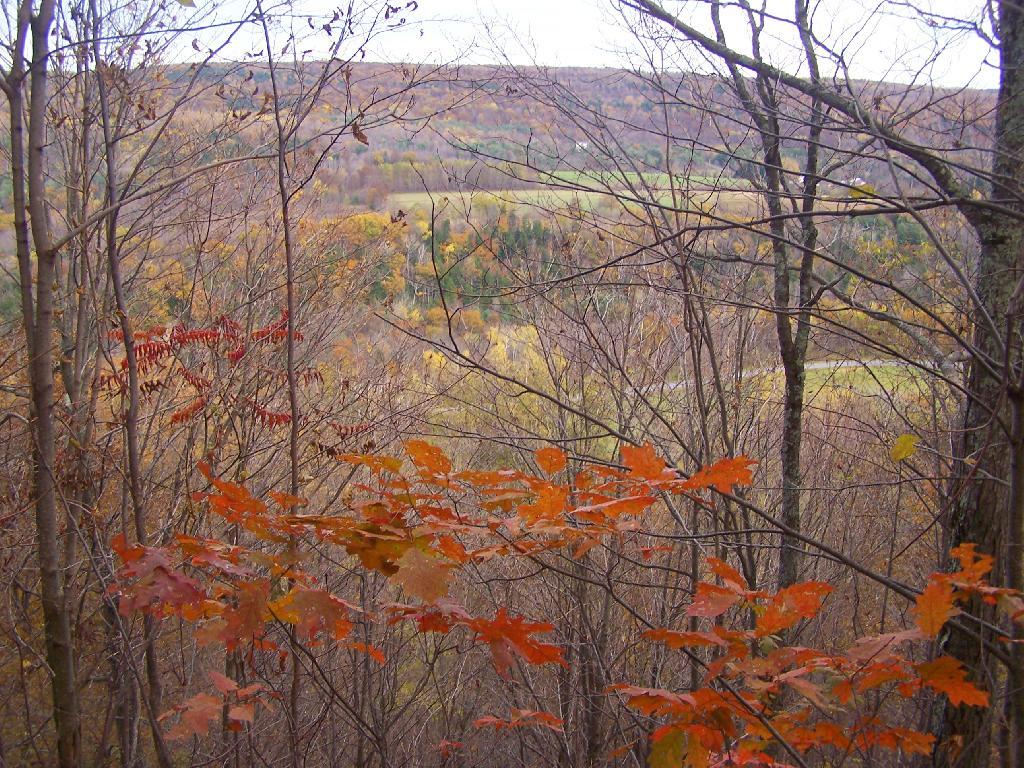 Photo: Upper Switzkill Valley