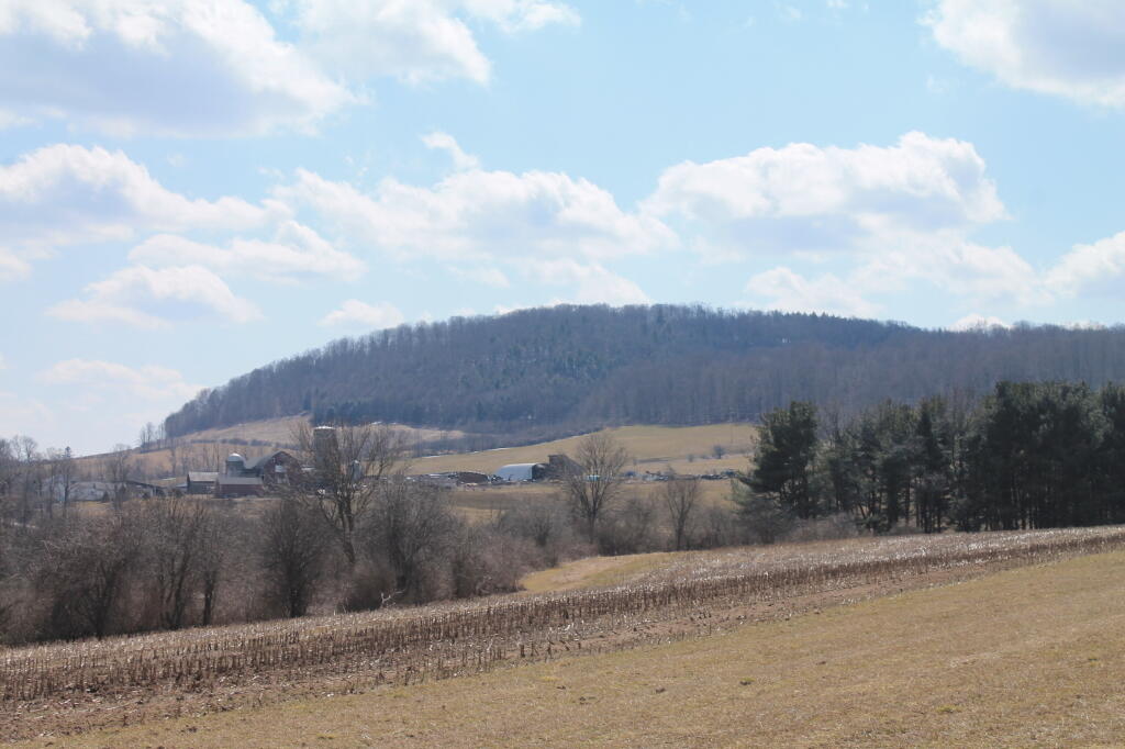 Photo: South East from Farm Tower