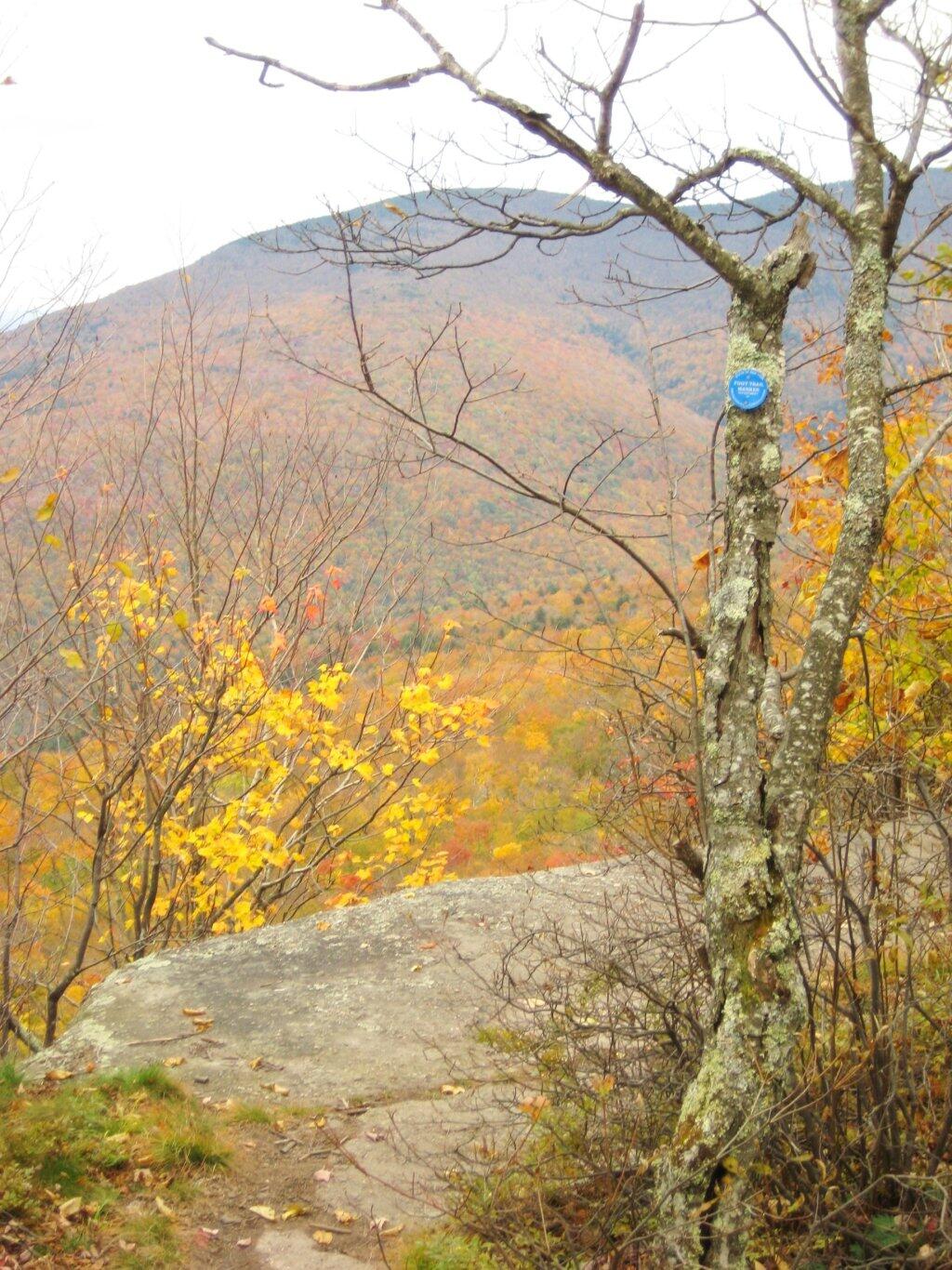 Photo: Trail Along the Edge