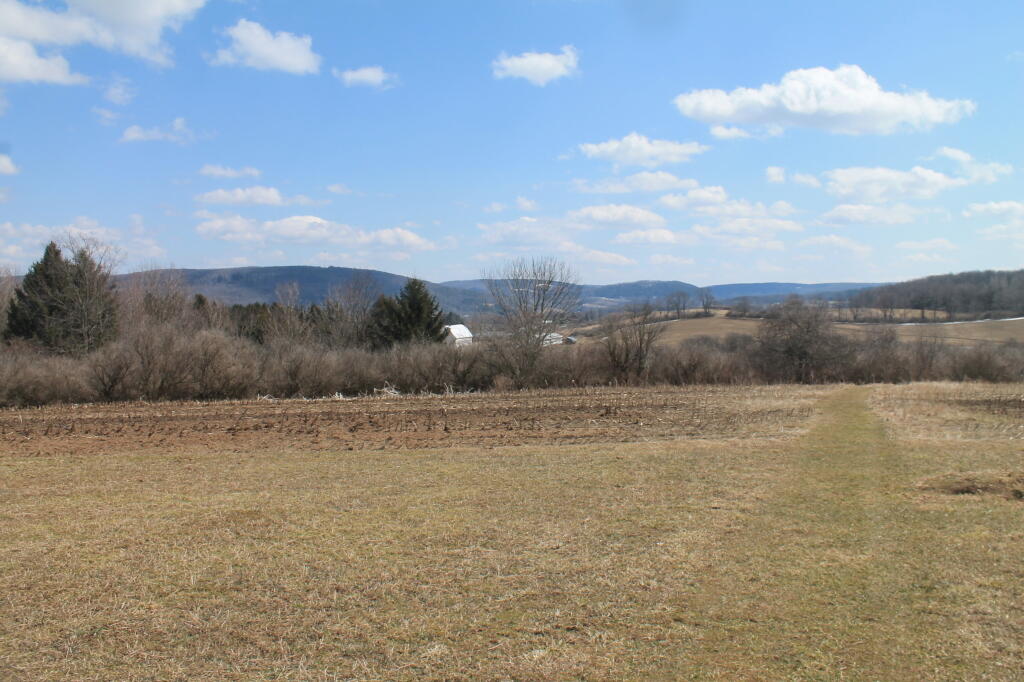 Photo: East Towards Sherburne