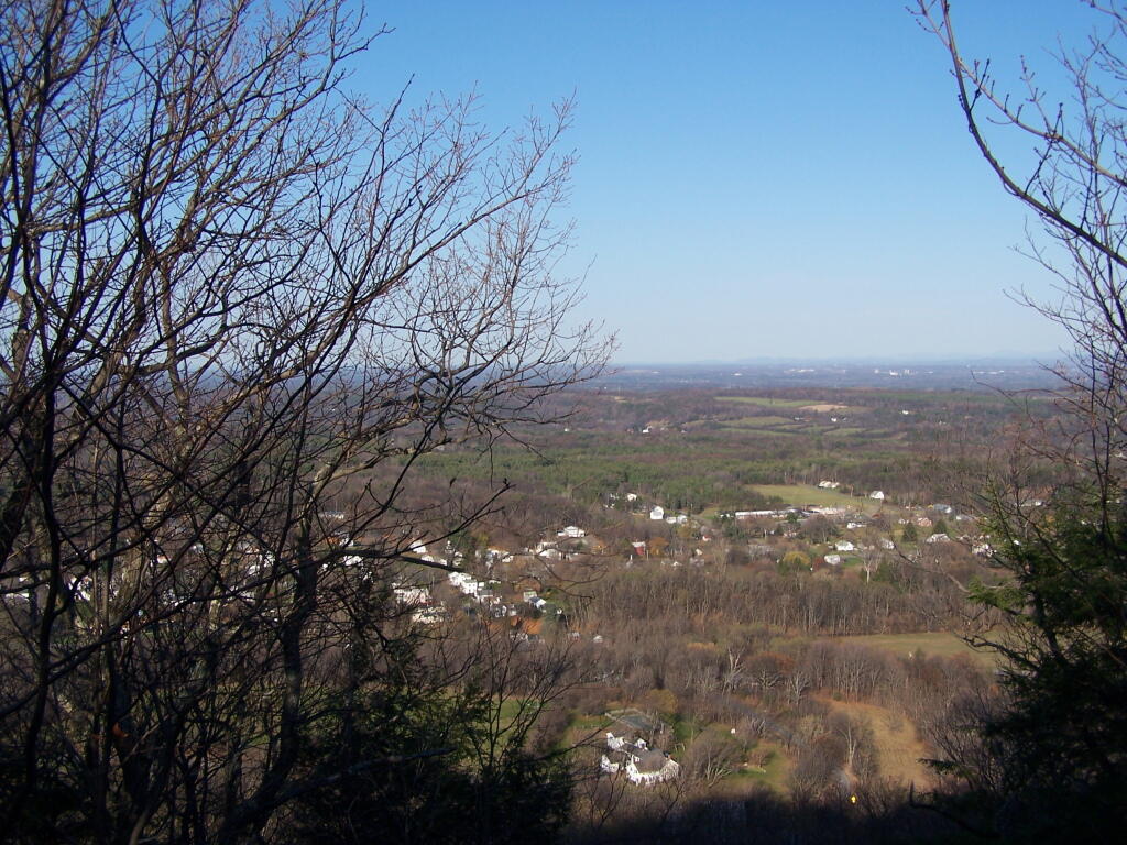 Photo: New Clearing On Bennett Hill